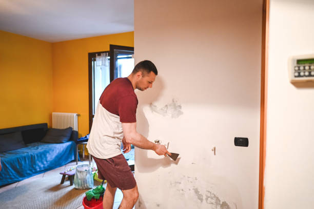 Best Residential Mold Remediation in Golden Meadow, LA